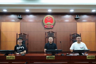 司法公開新窗口 第111次公眾開放日，青島聯信商務咨詢哈爾濱分公司走進南崗區法院